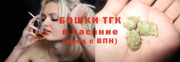 прущие грибы Арсеньев