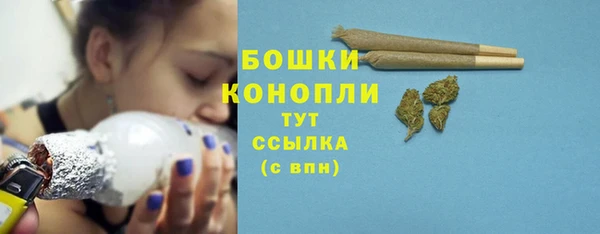 прущие грибы Арсеньев