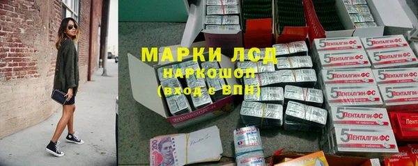 прущие грибы Арсеньев
