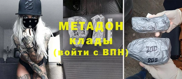 прущие грибы Арсеньев