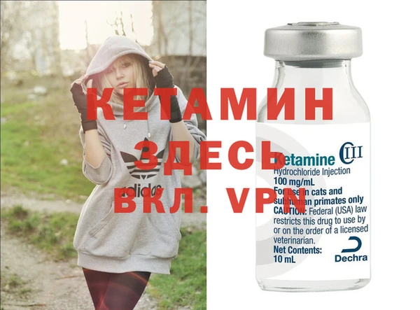 твердый Аркадак