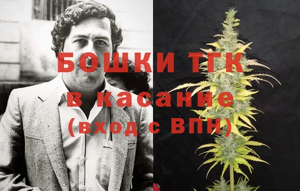 твердый Аркадак
