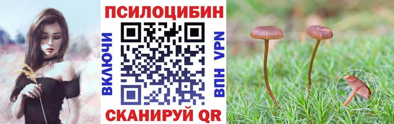 Псилоцибиновые грибы GOLDEN TEACHER  Асбест 