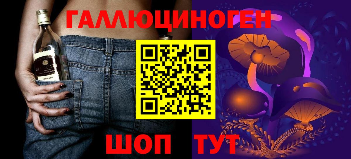 Галлюциногенные грибы Psilocybine cubensis Асбест