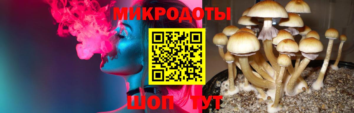 Псилоцибиновые грибы Magic Shrooms  Вход с VPN  Псилоцибиновые грибы Psilocybe  Асбест 